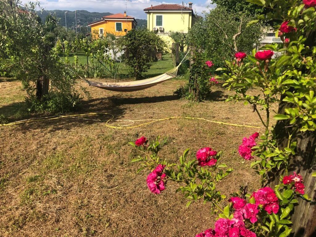 La Casa Di Ulivi Villa Piano di Follo Eksteriør bilde