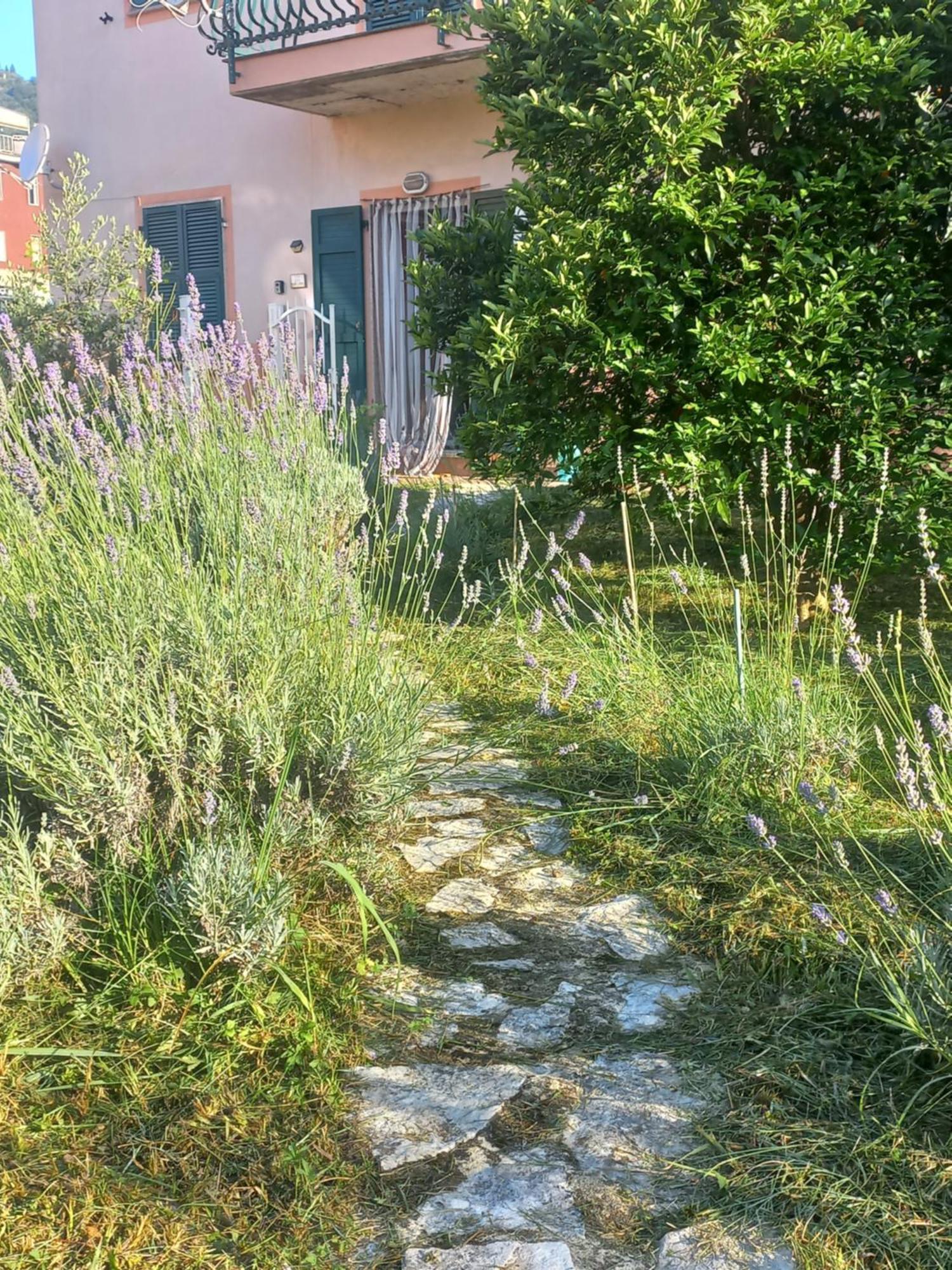 La Casa Di Ulivi Villa Piano di Follo Eksteriør bilde